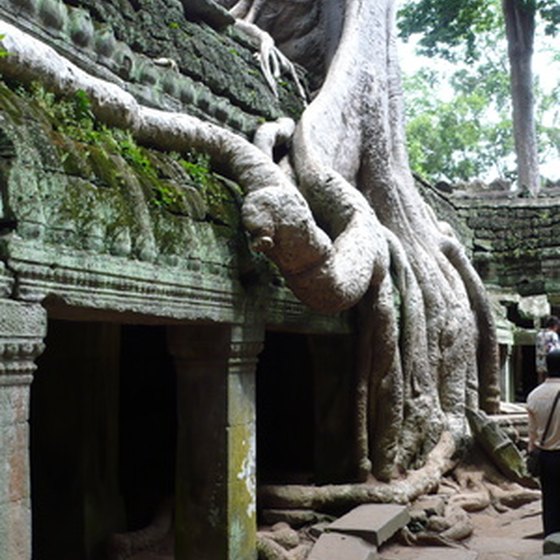 One of the ancient buildings of Angkor with overgrown vegetation.