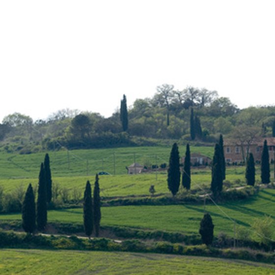 Experience the beauty of the Tuscan countryside.