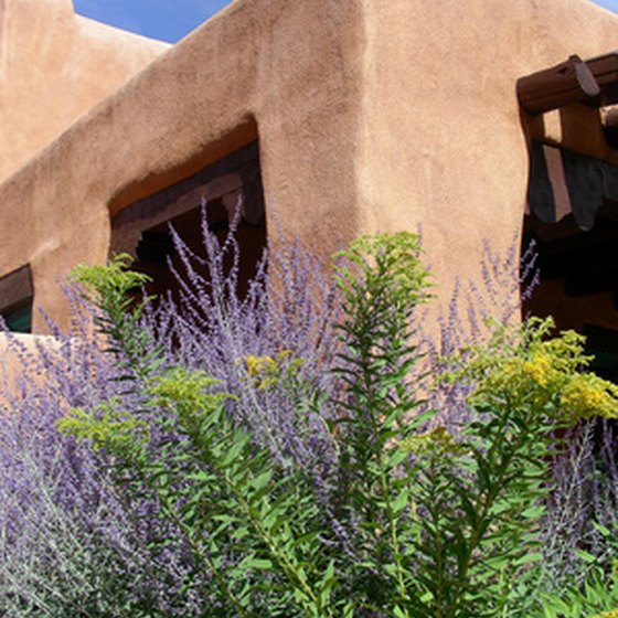 Distinctive desert architecture of Taos, New Mexico