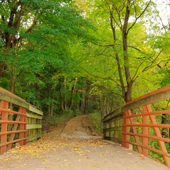 Perdido Key's national parks offer guests opportunities of investigating nature trails.