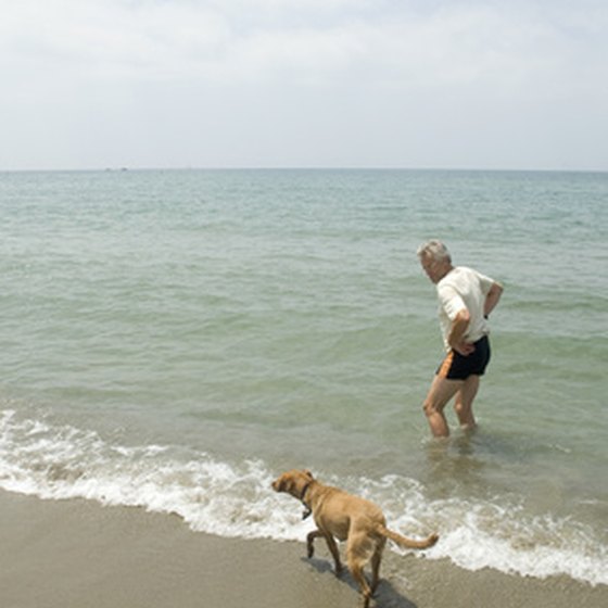 Have fun with your furry family at one of Florida's most beautiful beaches.