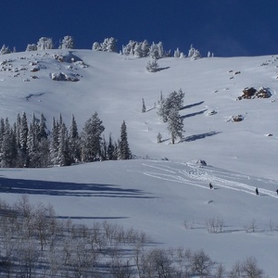 Utah boasts plenty of ski trails.