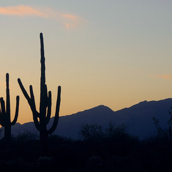 Skyline over the desert in Arizona.