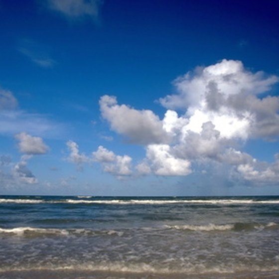 The bright blue Florida sky.
