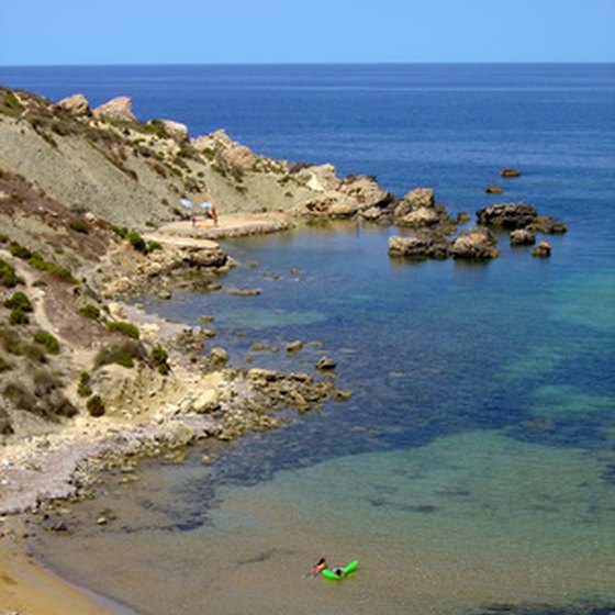 Like many European beach spots, Malta has dolphin swimming.