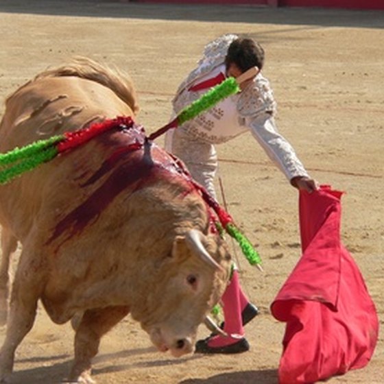 Bullfighting is still a popular sport in Spain.