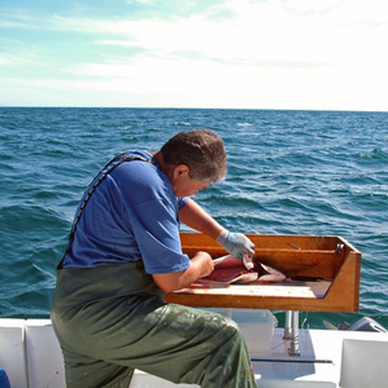 Charter a boat to catch some of Alaska's most famous fish.