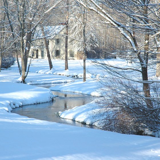 Winter in Michigan