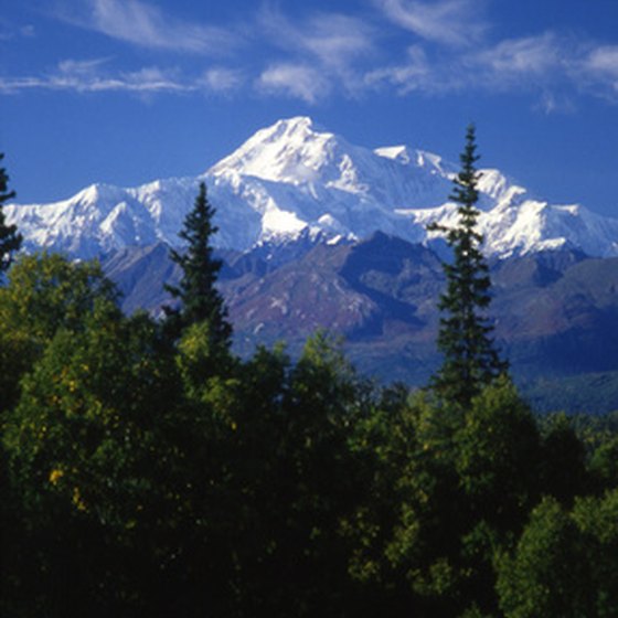 Clear days offer stunning views of Mount McKinley from train observation domes.