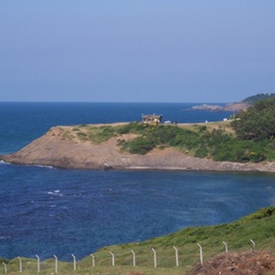 Highway 1 runs along the rugged northern California coast.