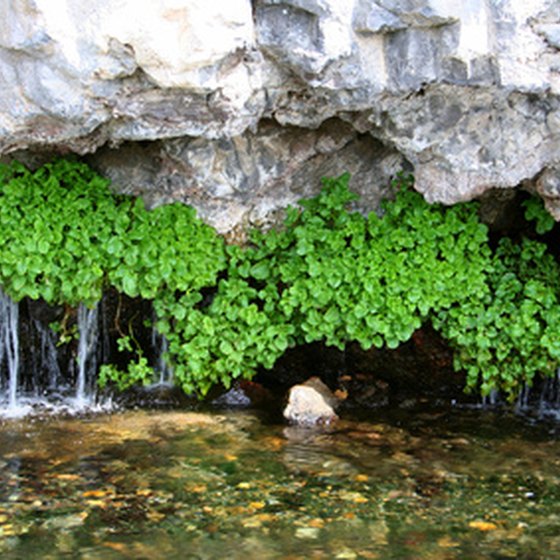 Bluff Springs, Florida, is a natural freshwater spring.