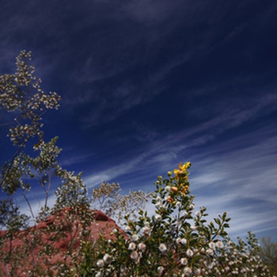 Capped with an azure desert sky, Mesa's proximity to mountains, rivers and bike routes is the reason there are many RV resorts in the city.