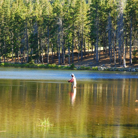 Fly fishing anglers flock to the Roaring Fork to catch trout.