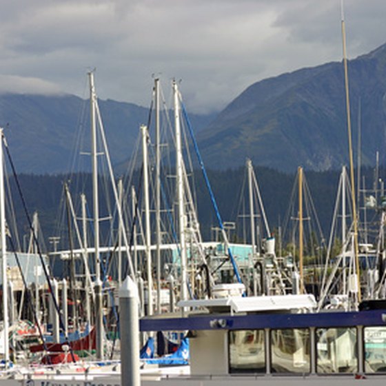 Enjoy the sites and sounds of the Small Boat Harbor in Seward.