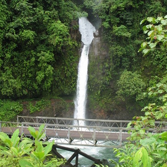 Costa Rica's natural beauty provides the perfect classroom for traveling students