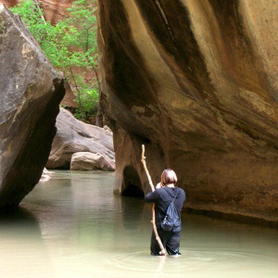 The Virgin River is just one of many natural beauties to be explored out West.