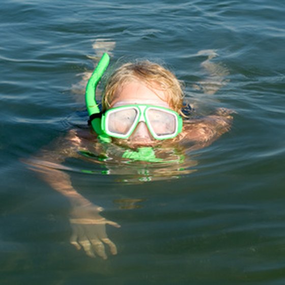 Even children can enjoy snorkeling (with parental supervision).
