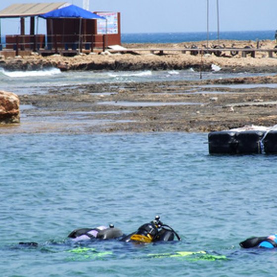 Divers acclimate themselves with a "bienvenidos" ("welcome") shore dive.