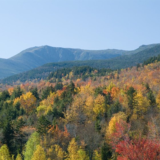 Bus tours provide a picture-perfect view of New England fall foliage.