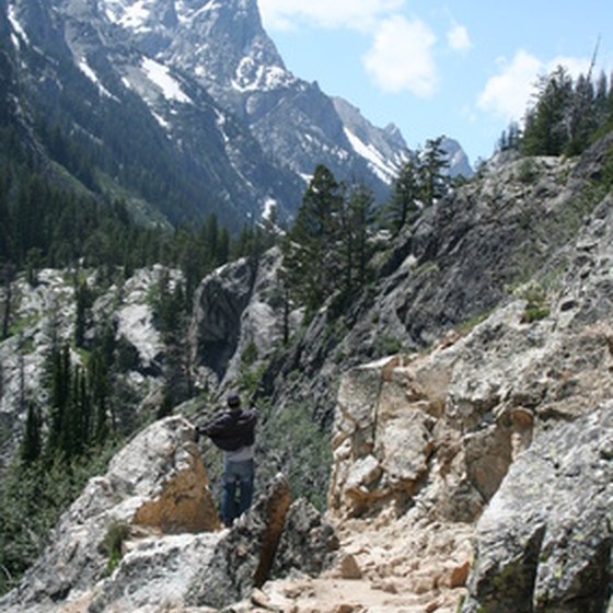 Trails wind through the backcountry in Grand Teton National Park.