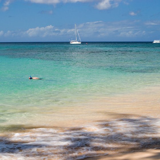 Barbados is known for its pinkish sand beaches.