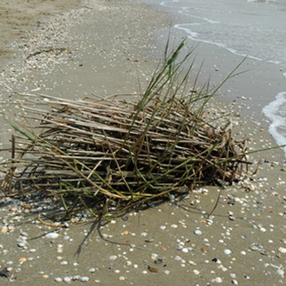 The beaches are the biggest allure of the Atlantic Beach, N.C., region.