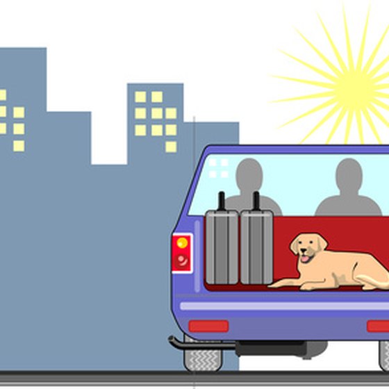 Planning ahead for pet friendly accommodations can make any trip less stressful.