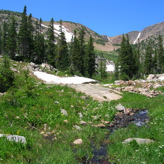 Tundra and snow blanket Aspen's peaks all year long.