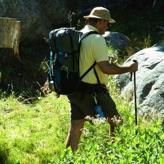 Nature volunteer vacations offers a diverse range of activity options.