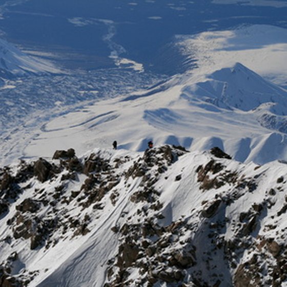 Denali National Park