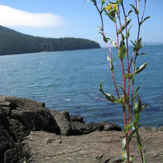 The Washington coast runs along the Pacific Ocean to Eliott Bay