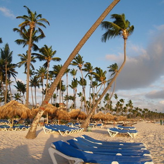 Beachfront scenery in the Dominican Republic