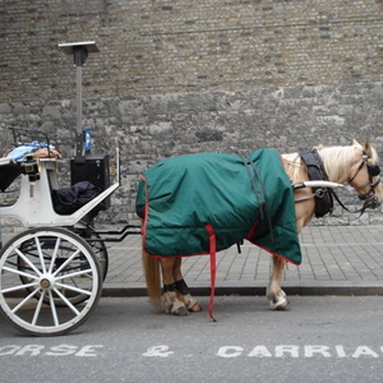 The Amish horse and buggy,