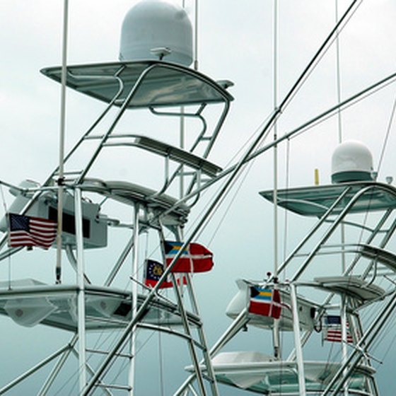 South Florida fishing charters offer year-round fishing.