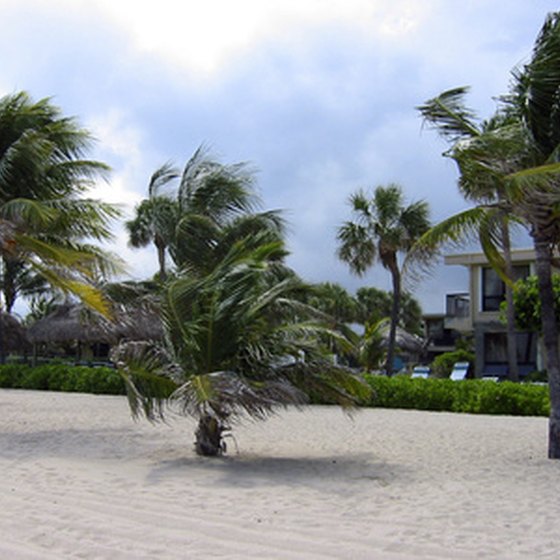 Florida Gulf Coast resorts are steps away from white-sand beaches.