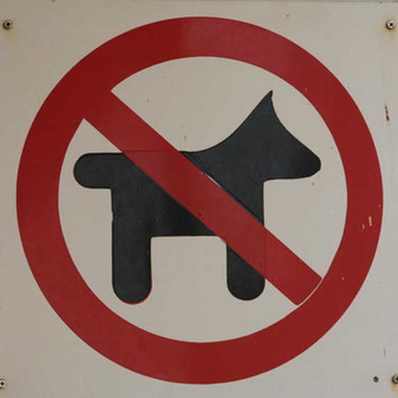 Many Phoenix hotel do not allow pets.