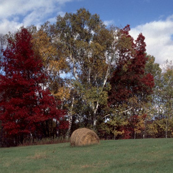 A trip to Fergus Falls, Minnesota, will bring you through rolling hills and colorful foliage.