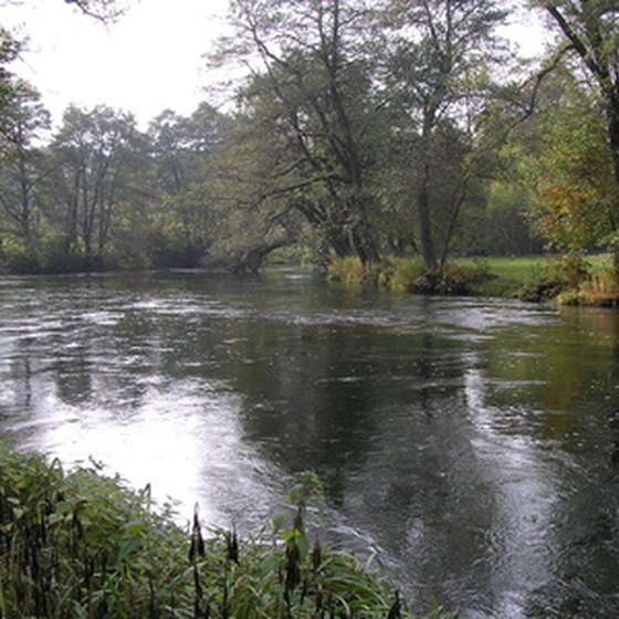 Enjoy lazy days on the Guadalupe River near New Braunfels and Seguin.