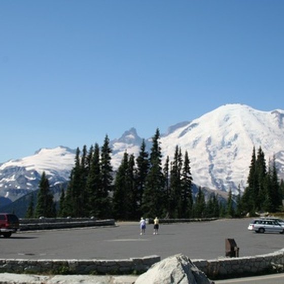 Tourists at Mt. Rainier in Washington
