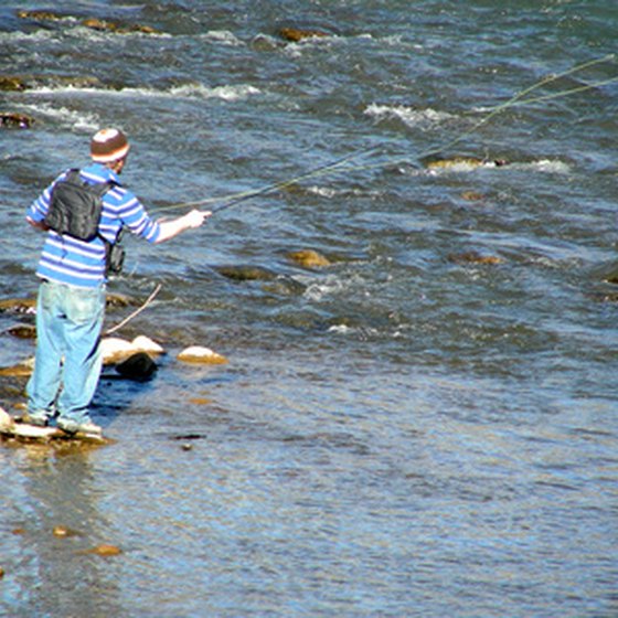Fly fishing is very popular in Idaho.