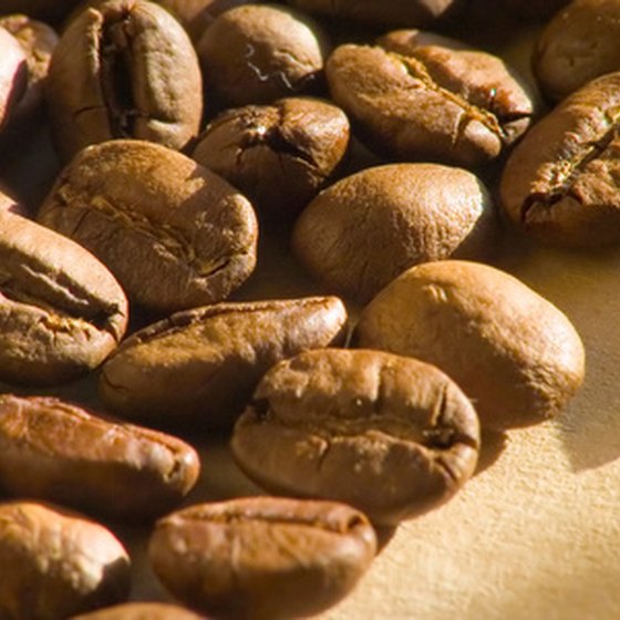 Visit Jamaica's coffee farms.