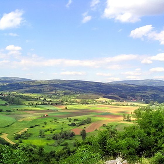 Sonoma county contains over 300 wineries.