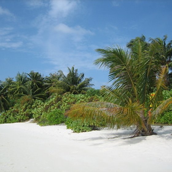 Vacation spots near Jamaica offer excellent beaches.