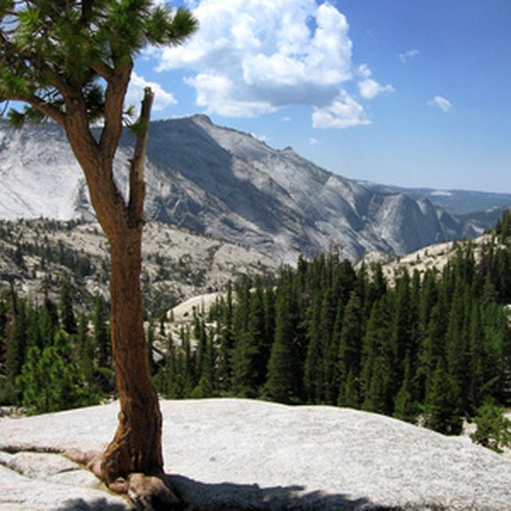 Yosemite National Park is full of beautiful scenery, an ideal location for RV campers.