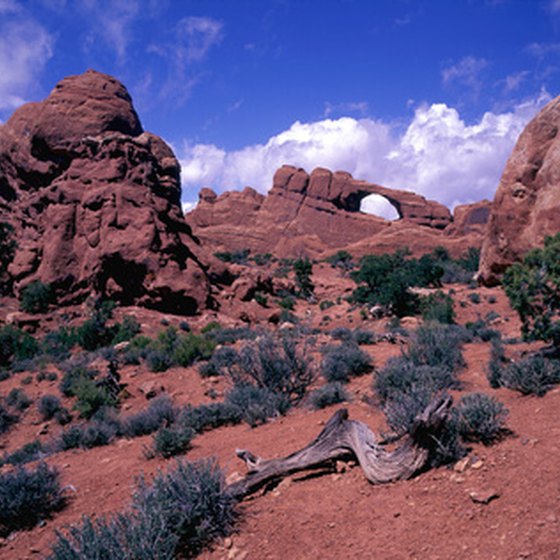 There are more than 2,000 rock arches in Arches National Park.