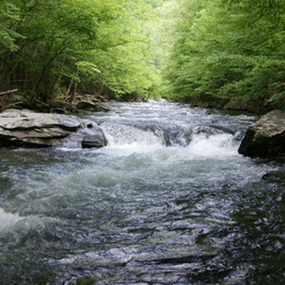 There are many attractions for families in Tennessee, including the picturesque Smokies.