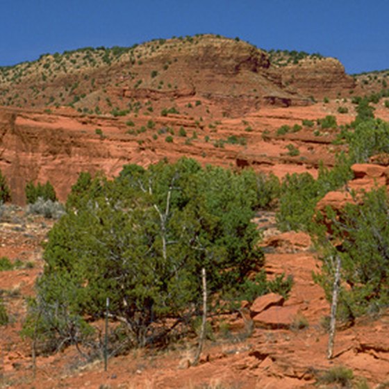 New Mexico features rose-colored desert landscapes.