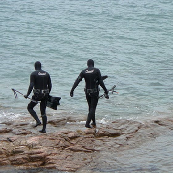 Places like Marco Island are known for their spearfishing.