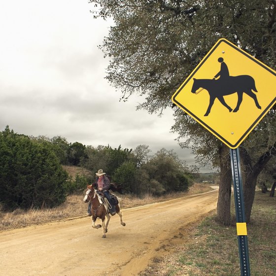 Learn to ride a horse at a ranch in Burleson, Texas.