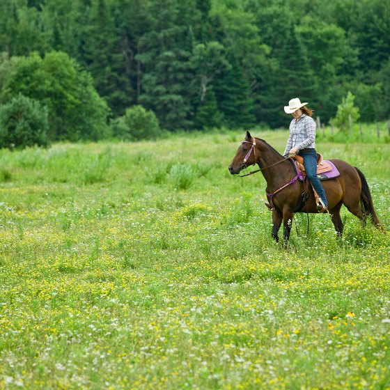 Horseback riding is a popular activity in the area.